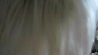 Short haired blonde sucking cock