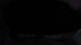 Dilettant doggy short vid