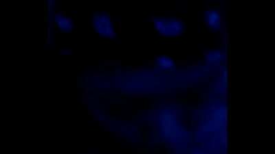 Sexy Asian sucking cock amateur Cambodian Khmer