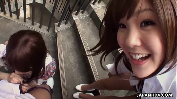 Ditsy chicks sucking cocks to get cum spunked