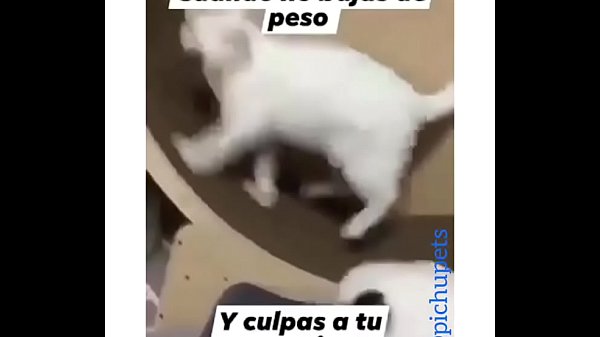 Me follo una venezolana culona rica